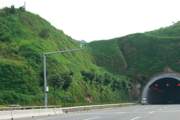 青岛山坡复绿工程