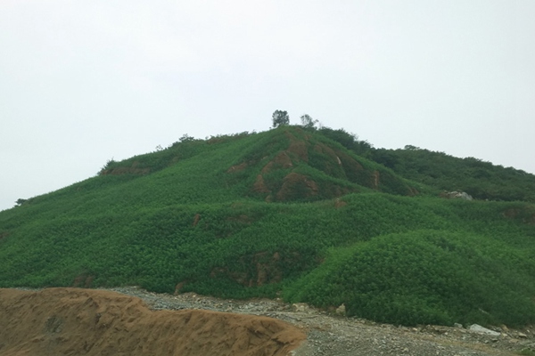 福建矿山复绿工程